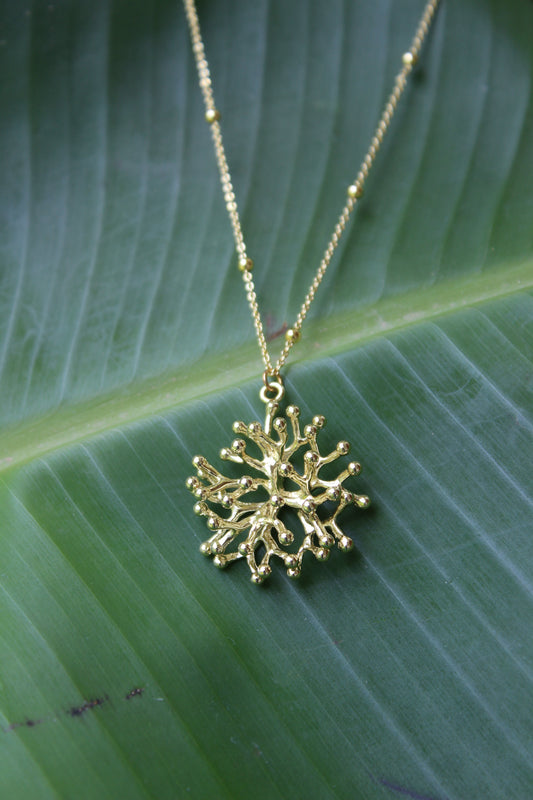 Coral Pendant